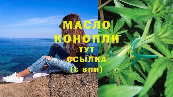 2c-b Снежногорск