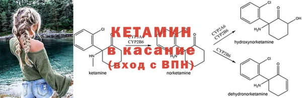 индика Каменск-Шахтинский