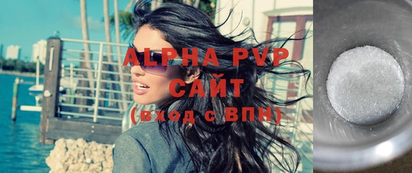 твердый Инсар